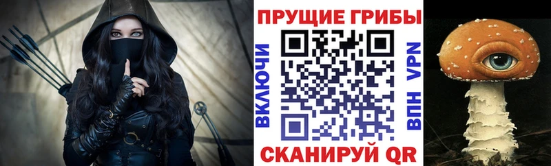 Псилоцибиновые грибы GOLDEN TEACHER  блэк спрут зеркало  Печоры 